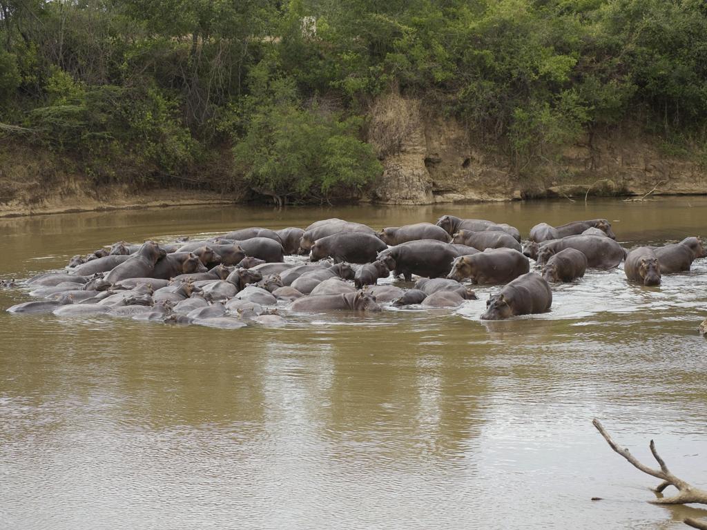 Ngerende Island Lodge (Adults Only) Maasai Mara Exterior foto